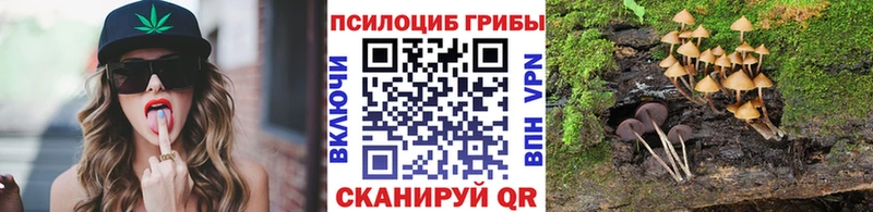 Купить закладки  Белово  Псилоцибиновые грибы Psilocybe 